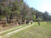 DSC02296.JPG