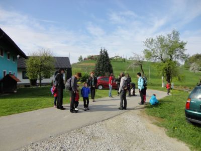 Kliknite za ogled večje slike