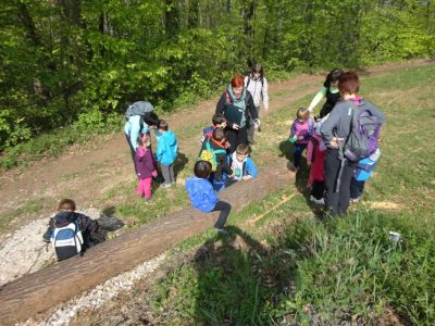 Kliknite za ogled večje slike