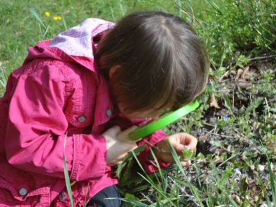 Kliknite za ogled večje slike