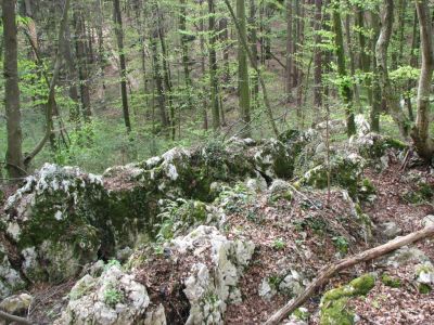 Kliknite za ogled večje slike