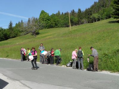 Kliknite za ogled večje slike