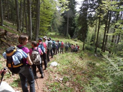Kliknite za ogled večje slike