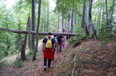 Kliknite za ogled večje slike