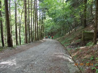 Kliknite za ogled večje slike