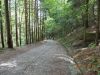 DSCN3201.JPG