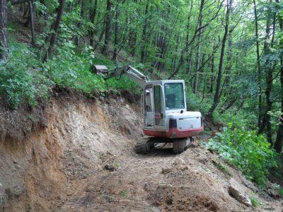 Kliknite za ogled večje slike