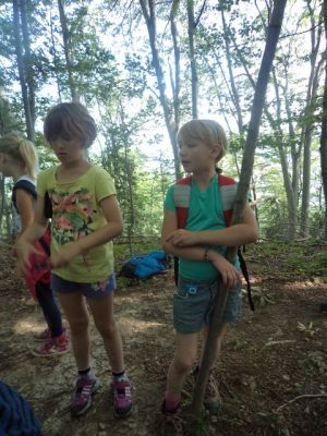 Kliknite za ogled večje slike