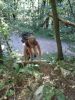 DSC03875.JPG
