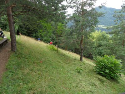 Kliknite za ogled večje slike