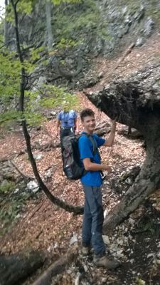 Kliknite za ogled večje slike