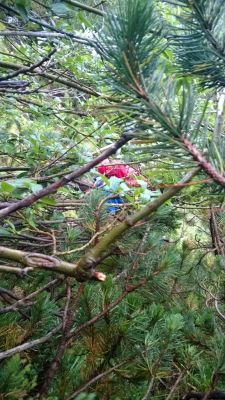 Kliknite za ogled večje slike