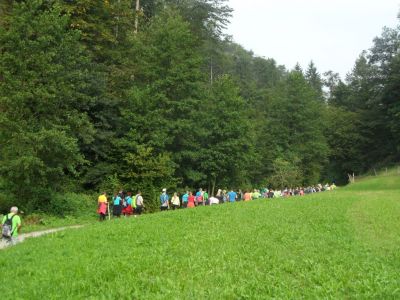 Kliknite za ogled večje slike