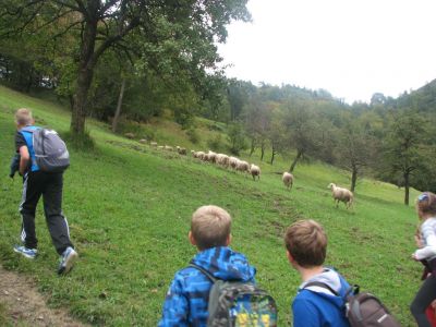 Kliknite za ogled večje slike