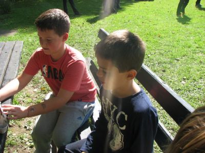 Kliknite za ogled večje slike