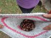 DSC04078.JPG