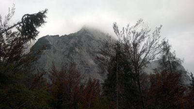 Kliknite za ogled večje slike