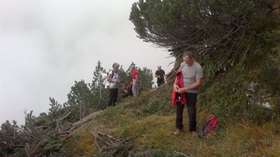 Kliknite za ogled večje slike