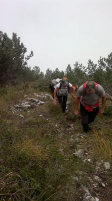 Kliknite za ogled večje slike