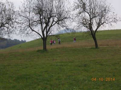 Kliknite za ogled večje slike