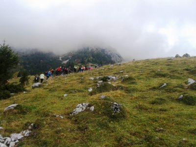 Kliknite za ogled večje slike