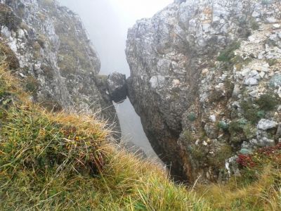 Kliknite za ogled večje slike