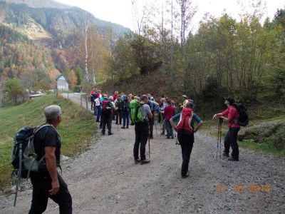Kliknite za ogled večje slike