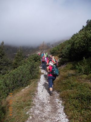 Kliknite za ogled večje slike