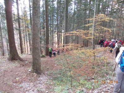 Kliknite za ogled večje slike