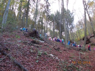 Kliknite za ogled večje slike