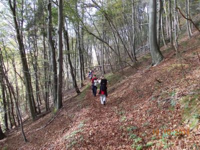 Kliknite za ogled večje slike
