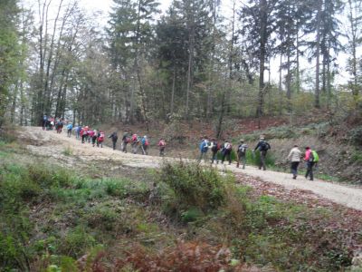 Kliknite za ogled večje slike
