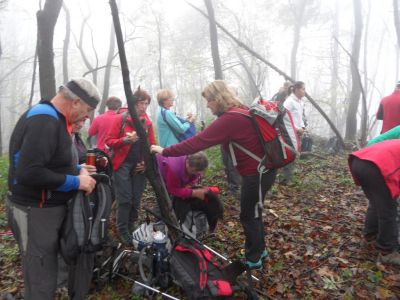 Kliknite za ogled večje slike