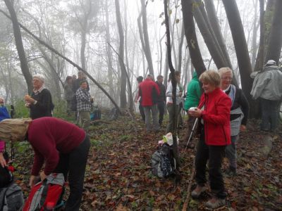 Kliknite za ogled večje slike