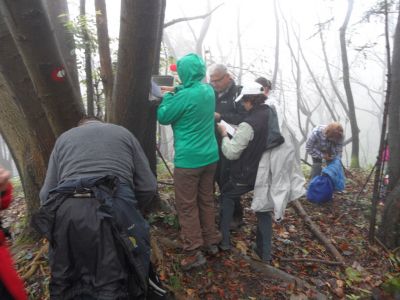 Kliknite za ogled večje slike