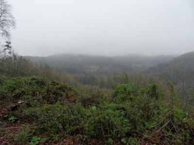 Kliknite za ogled večje slike
