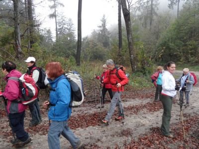 Kliknite za ogled večje slike