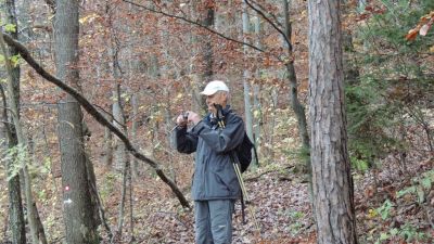 Kliknite za ogled večje slike