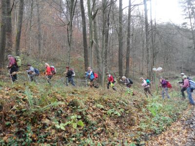 Kliknite za ogled večje slike