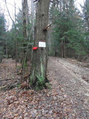 Kliknite za ogled večje slike