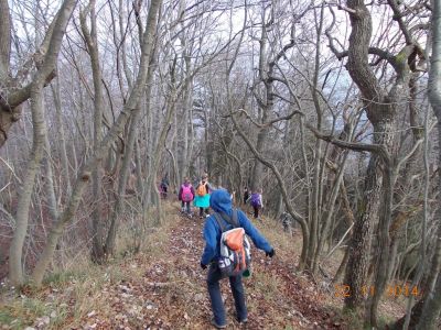 Kliknite za ogled večje slike