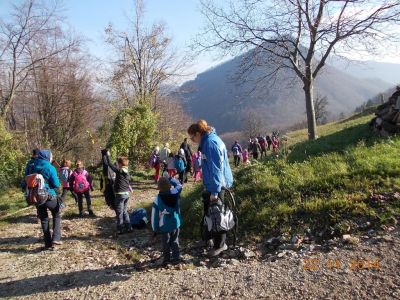 Kliknite za ogled večje slike