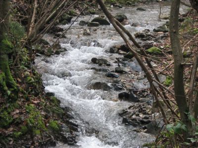 Kliknite za ogled večje slike