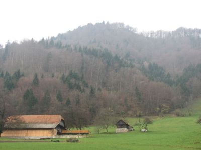 Kliknite za ogled večje slike