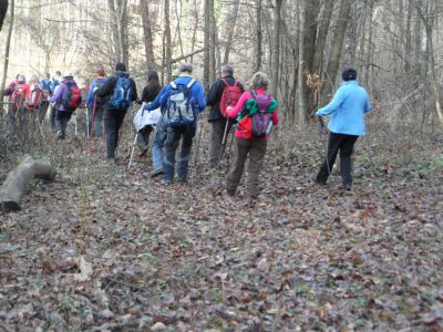 Kliknite za ogled večje slike
