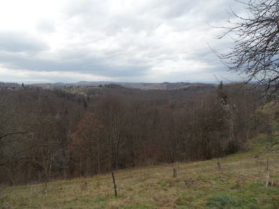 Kliknite za ogled večje slike