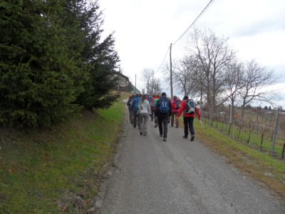 Kliknite za ogled večje slike