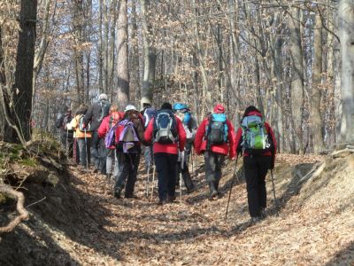 Kliknite za ogled večje slike