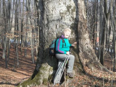 Kliknite za ogled večje slike
