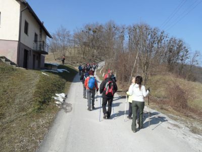 Kliknite za ogled večje slike